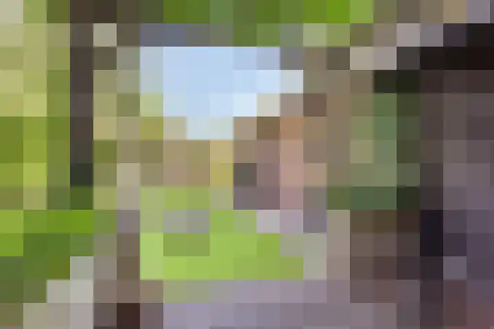 Ericaweg 10 Stroe thumbnail 33