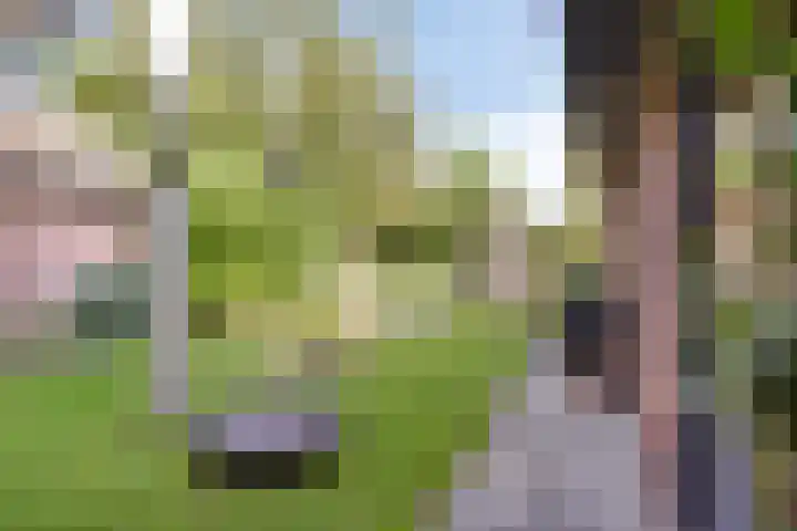 Ericaweg 10 Stroe thumbnail 34