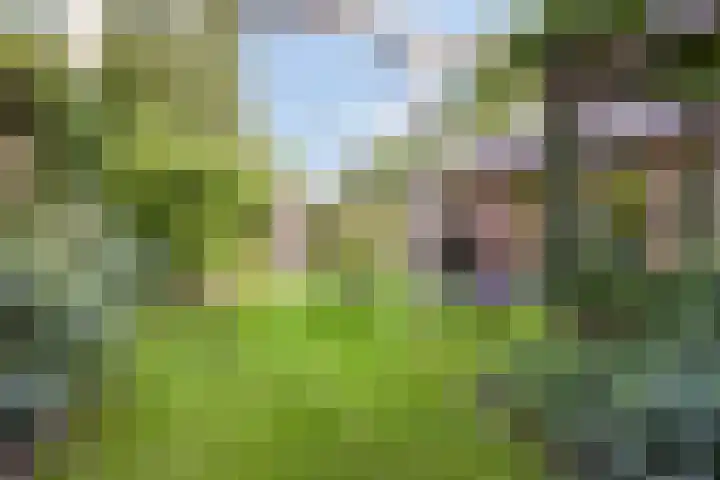 Ericaweg 10 Stroe thumbnail 35
