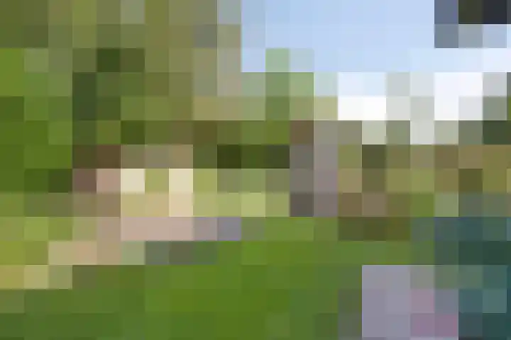 Ericaweg 10 Stroe thumbnail 36