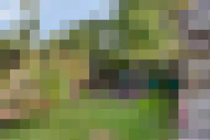 Ericaweg 10 Stroe thumbnail 37