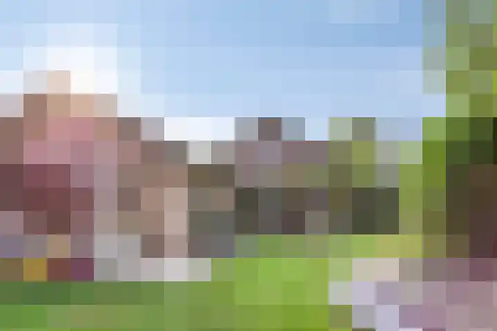 Ericaweg 10 Stroe thumbnail 38