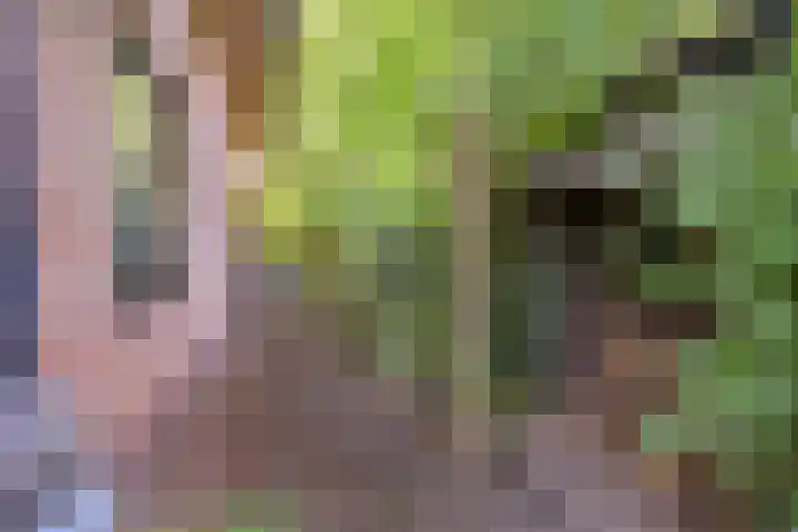 Ericaweg 10 Stroe thumbnail 40