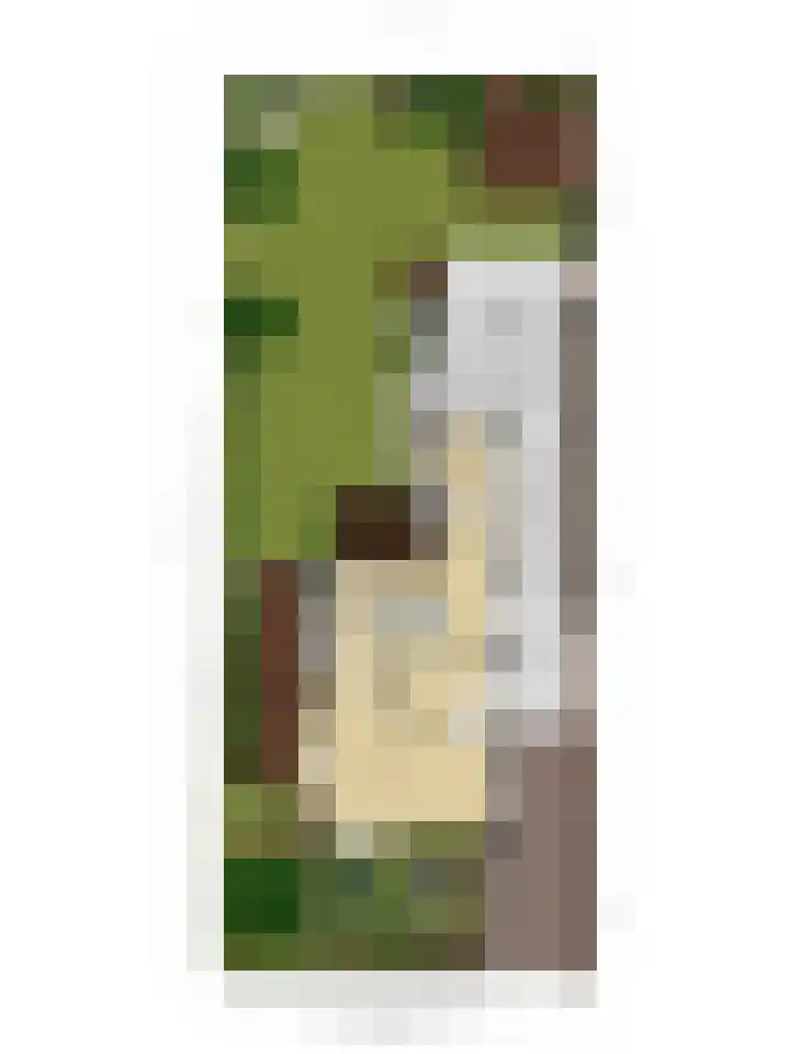 Ericaweg 10 Stroe thumbnail 48