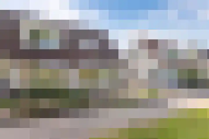 Ericaweg 14 Steggerda thumbnail 45