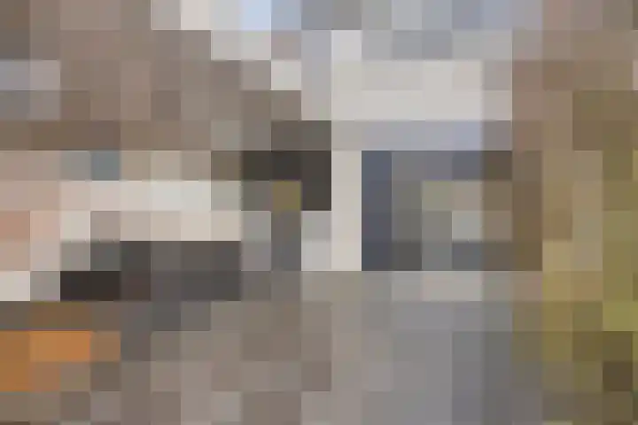 Ericaweg 32 Nijverdal thumbnail 30