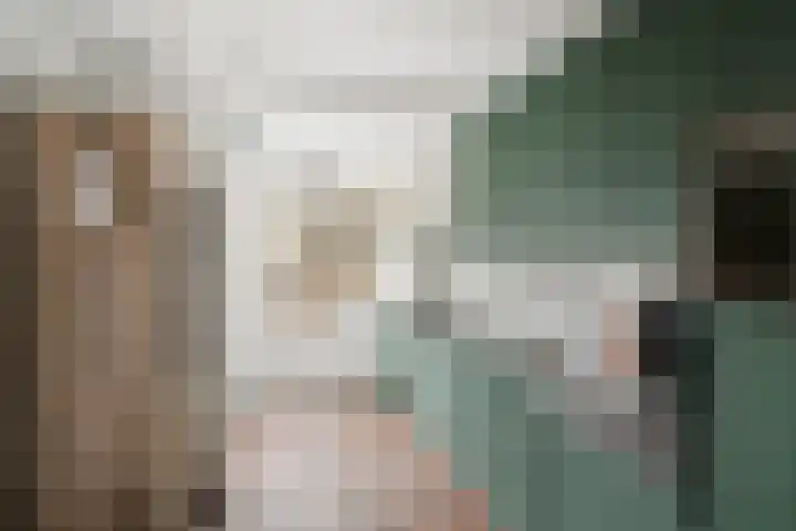 Ericaweg 32 Nijverdal thumbnail 4