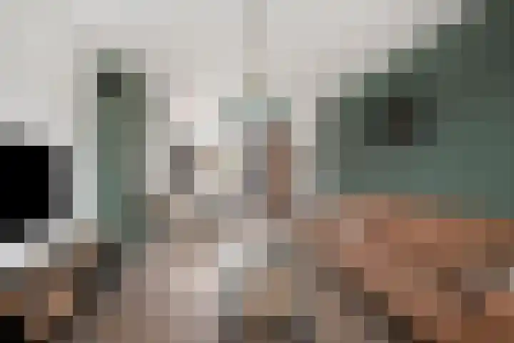 Ericaweg 32 Nijverdal thumbnail 7
