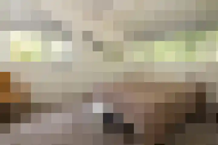 Ericaweg 9 0123 Nunspeet thumbnail 22