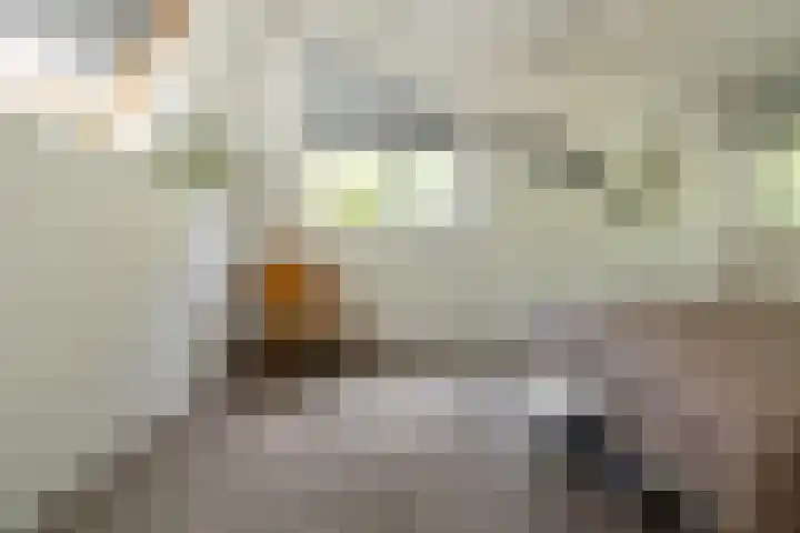 Ericaweg 9 0123 Nunspeet thumbnail 23