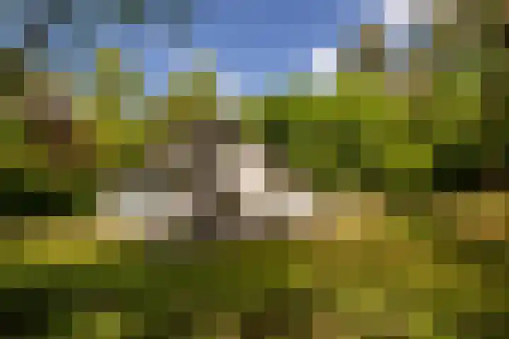 Ericaweg 9 0123 Nunspeet thumbnail 29