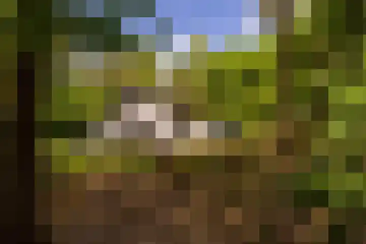 Ericaweg 9 0123 Nunspeet thumbnail 30
