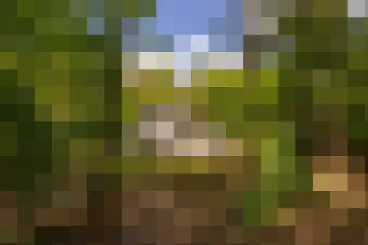 Ericaweg 9 0123 Nunspeet thumbnail 32
