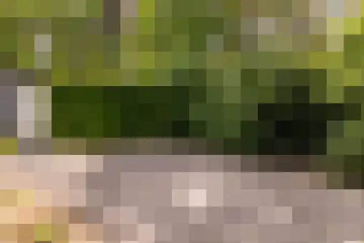 Ericaweg 9 0123 Nunspeet thumbnail 39