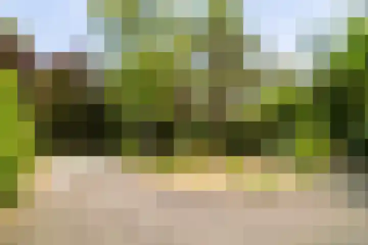Ericaweg 9 0123 Nunspeet thumbnail 40