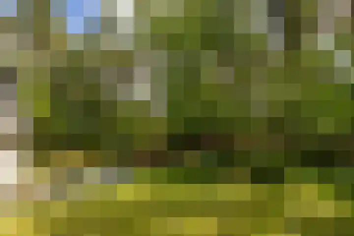 Ericaweg 9 0123 Nunspeet thumbnail 6