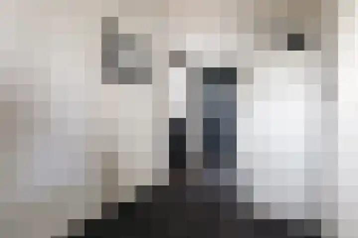 Ermeline 20 Kollum thumbnail 21