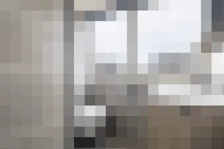 Ermeline 20 Kollum thumbnail 35