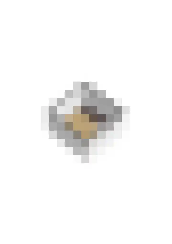 Ermelinkstuk 1 Zelhem thumbnail 45