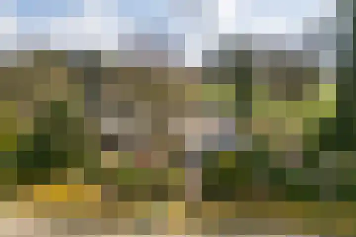 Ermerzand 1 Erm