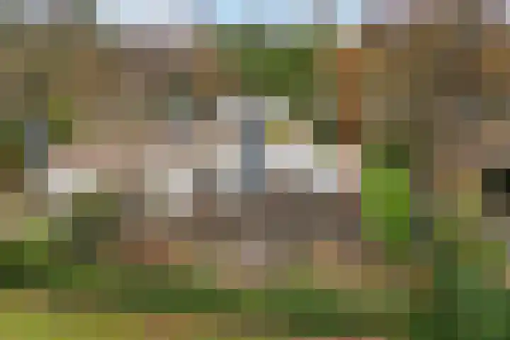 Ermerzand 101 en Erm