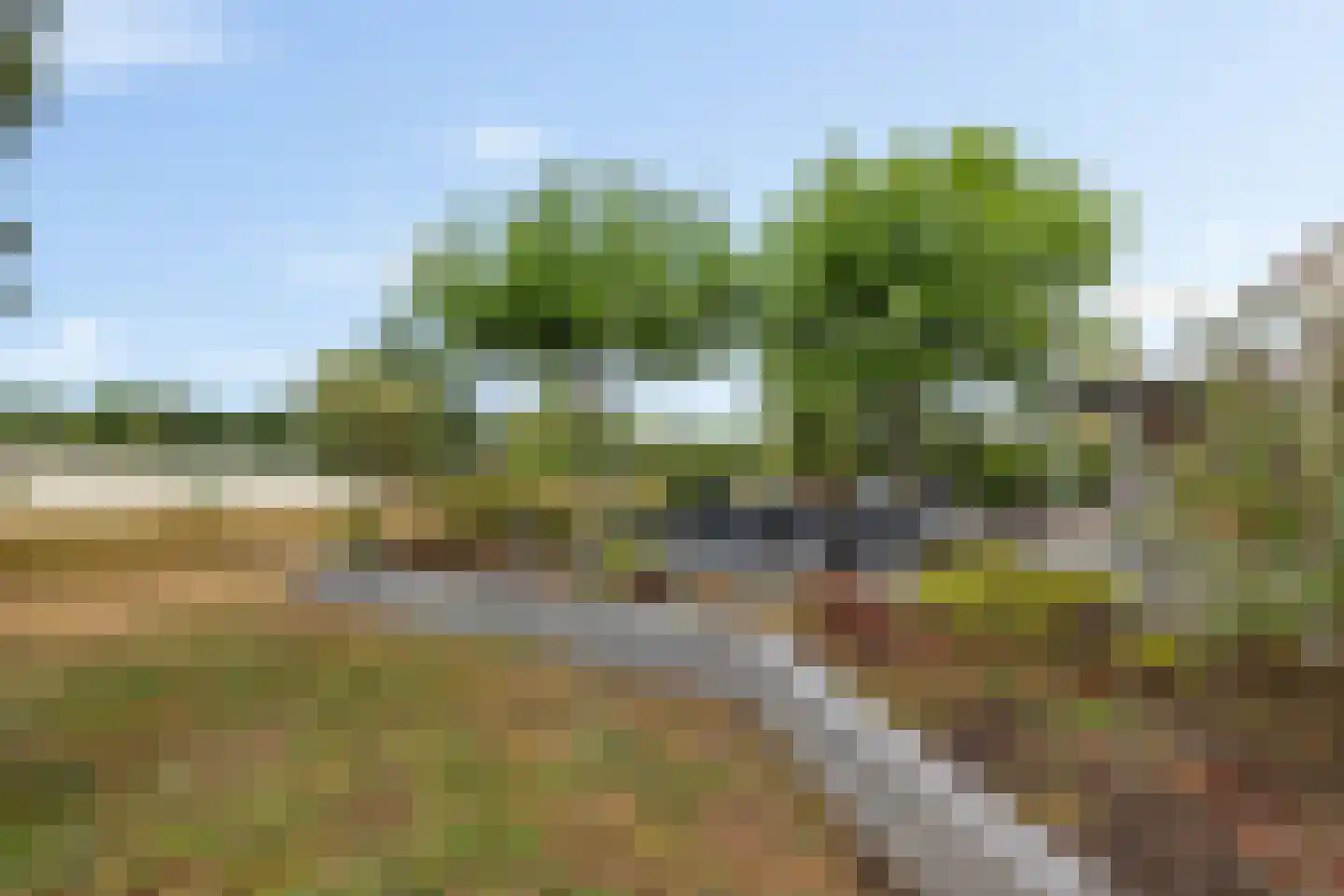 Ermerzand 146 Erm thumbnail 28