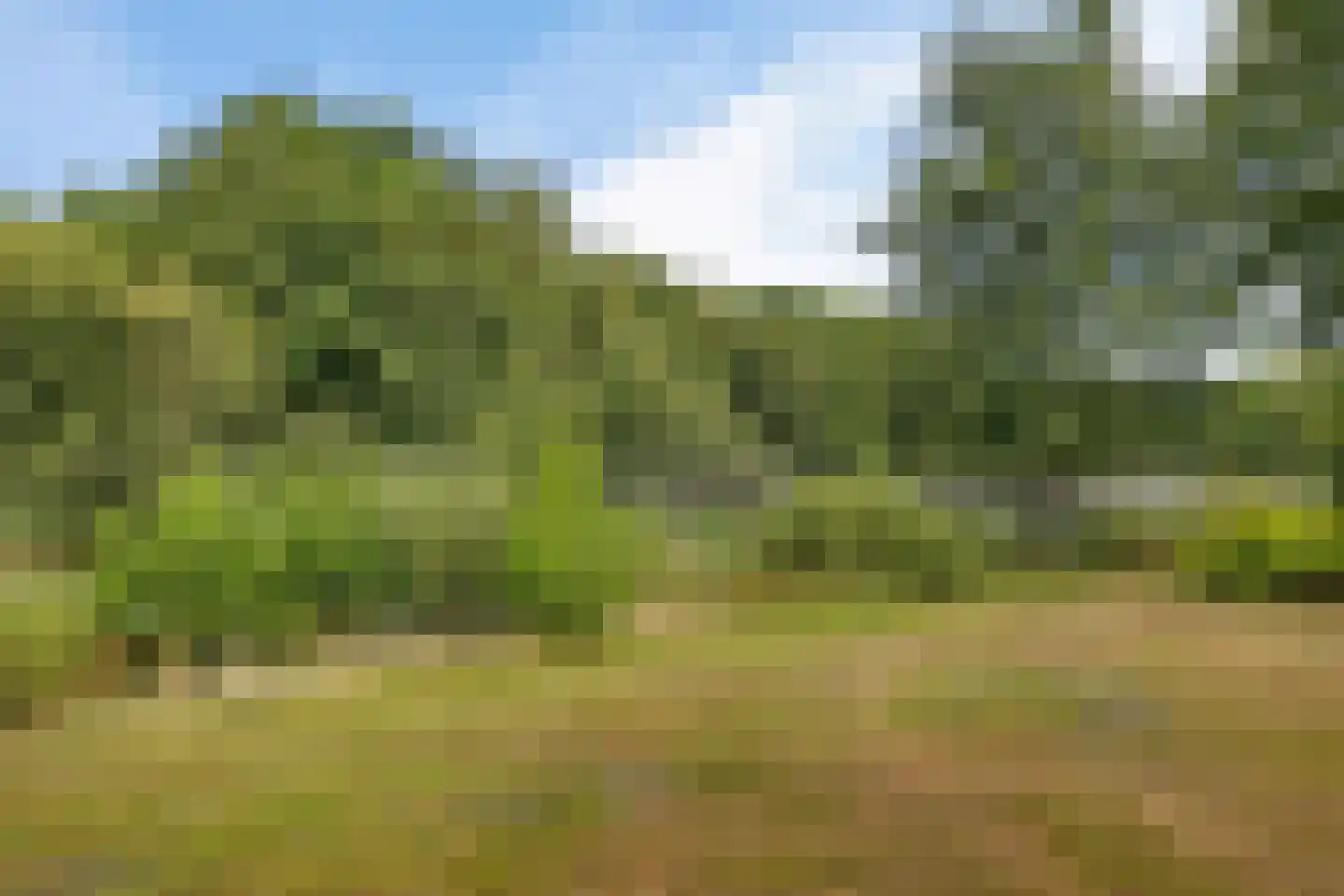 Ermerzand 146 Erm thumbnail 35