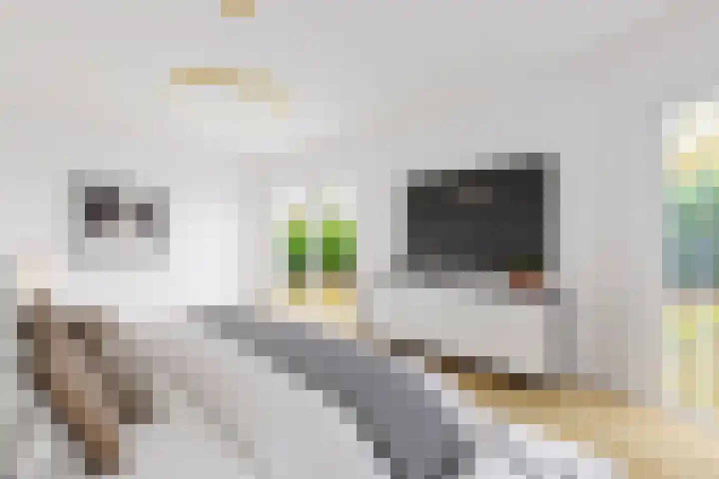 Ermerzand 170 Erm thumbnail 13