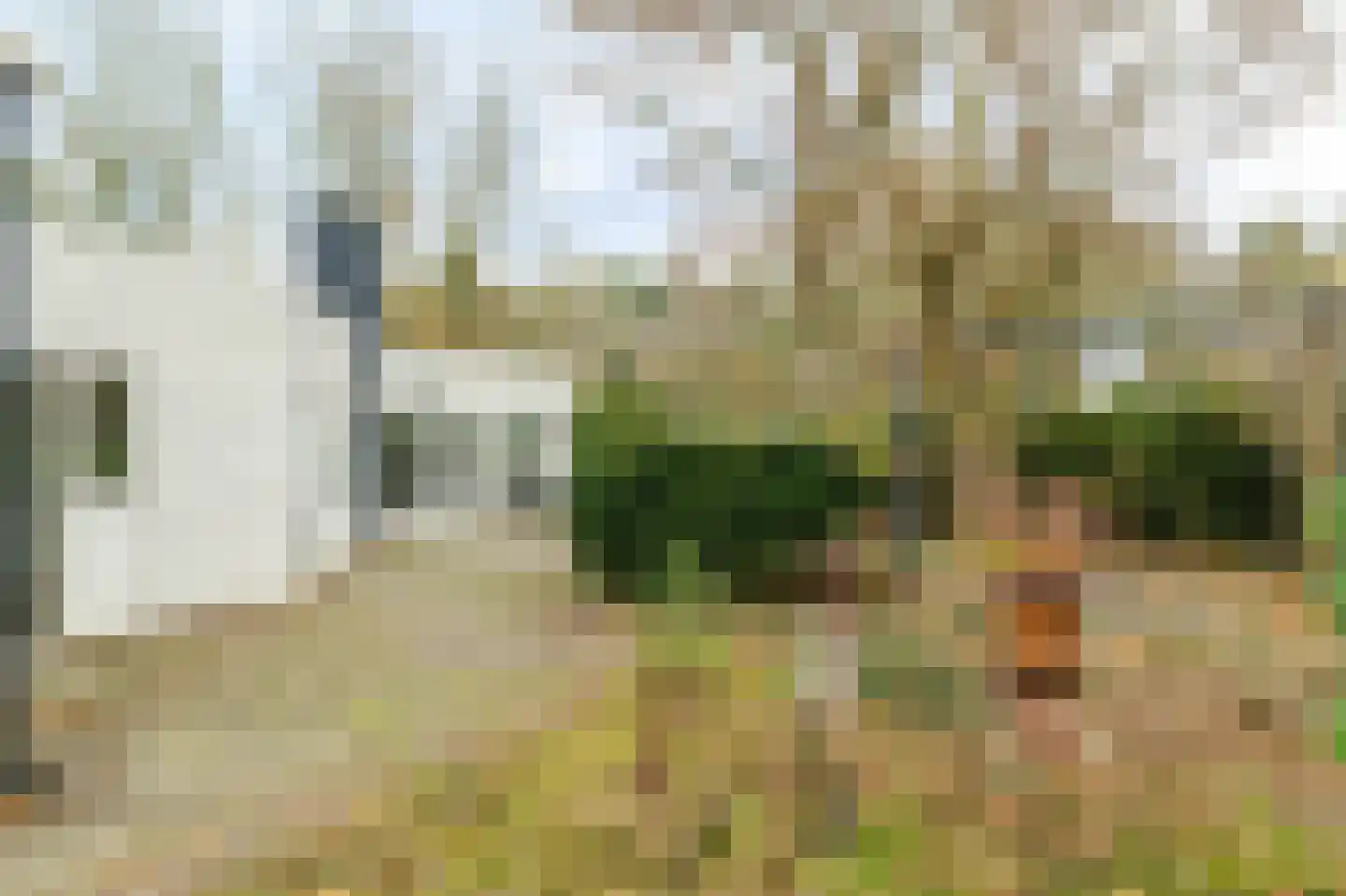 Ermerzand 170 Erm thumbnail 36