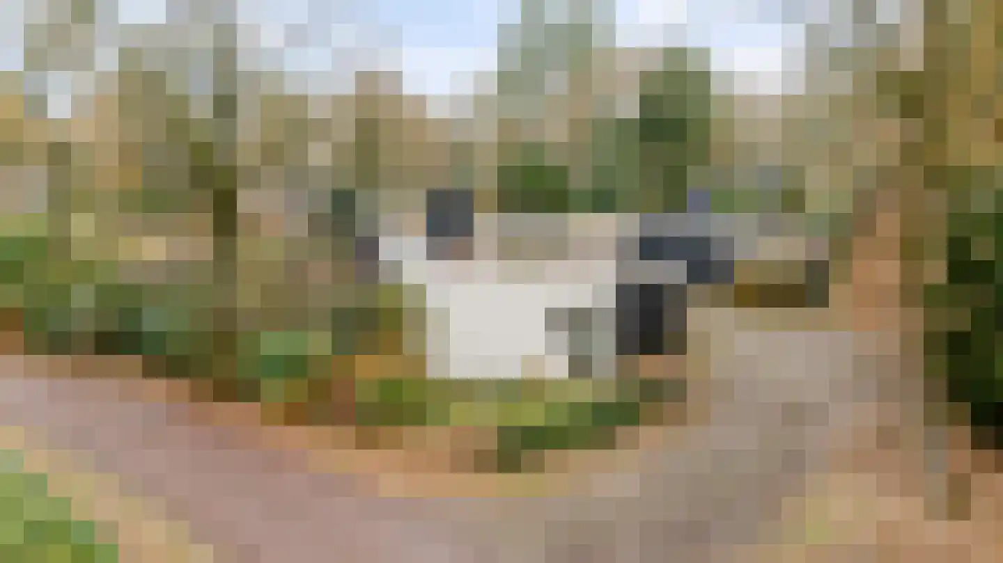Ermerzand 170 Erm thumbnail 46