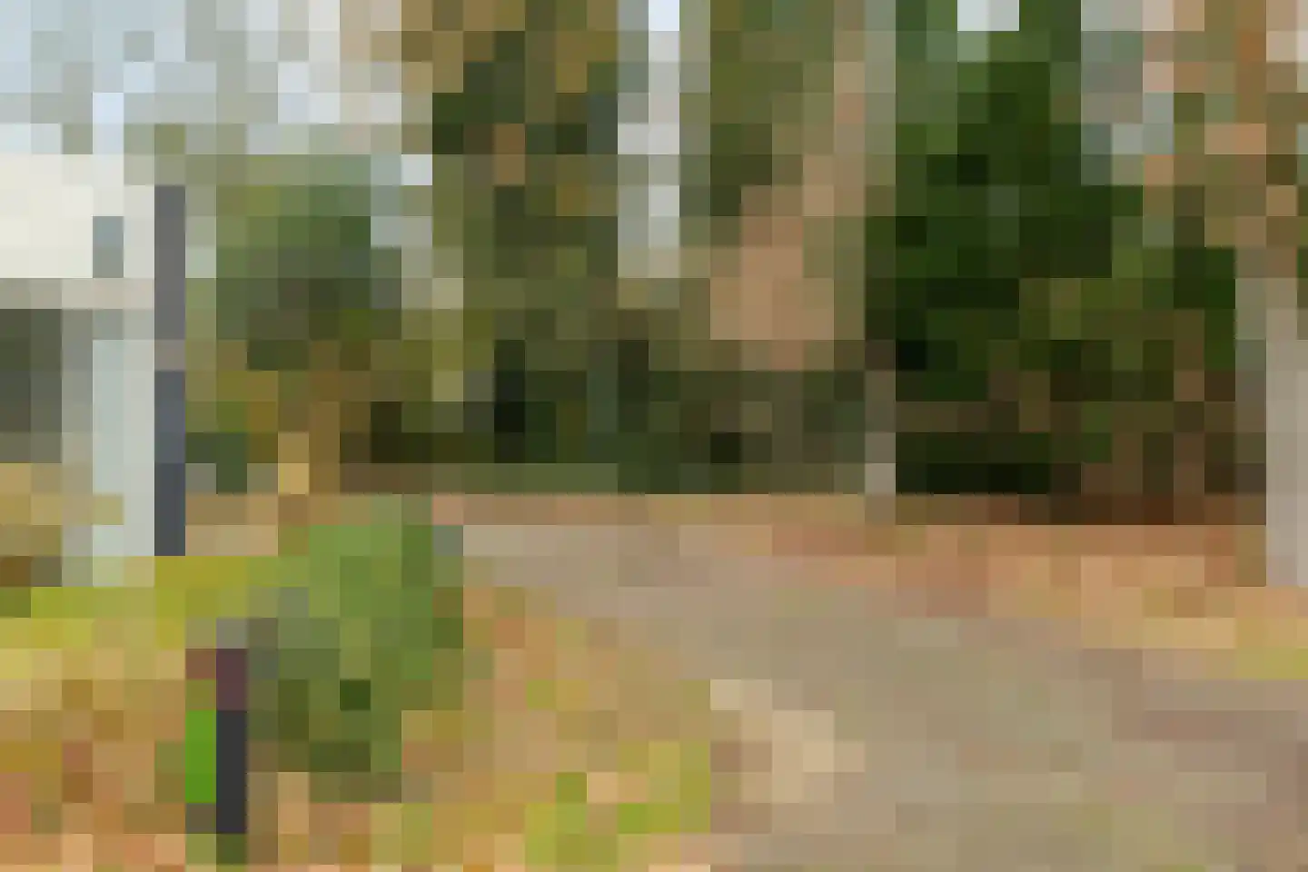 Ermerzand 170 Erm thumbnail 48