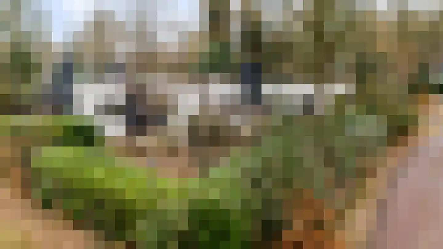 Ermerzand 170 Erm thumbnail 49