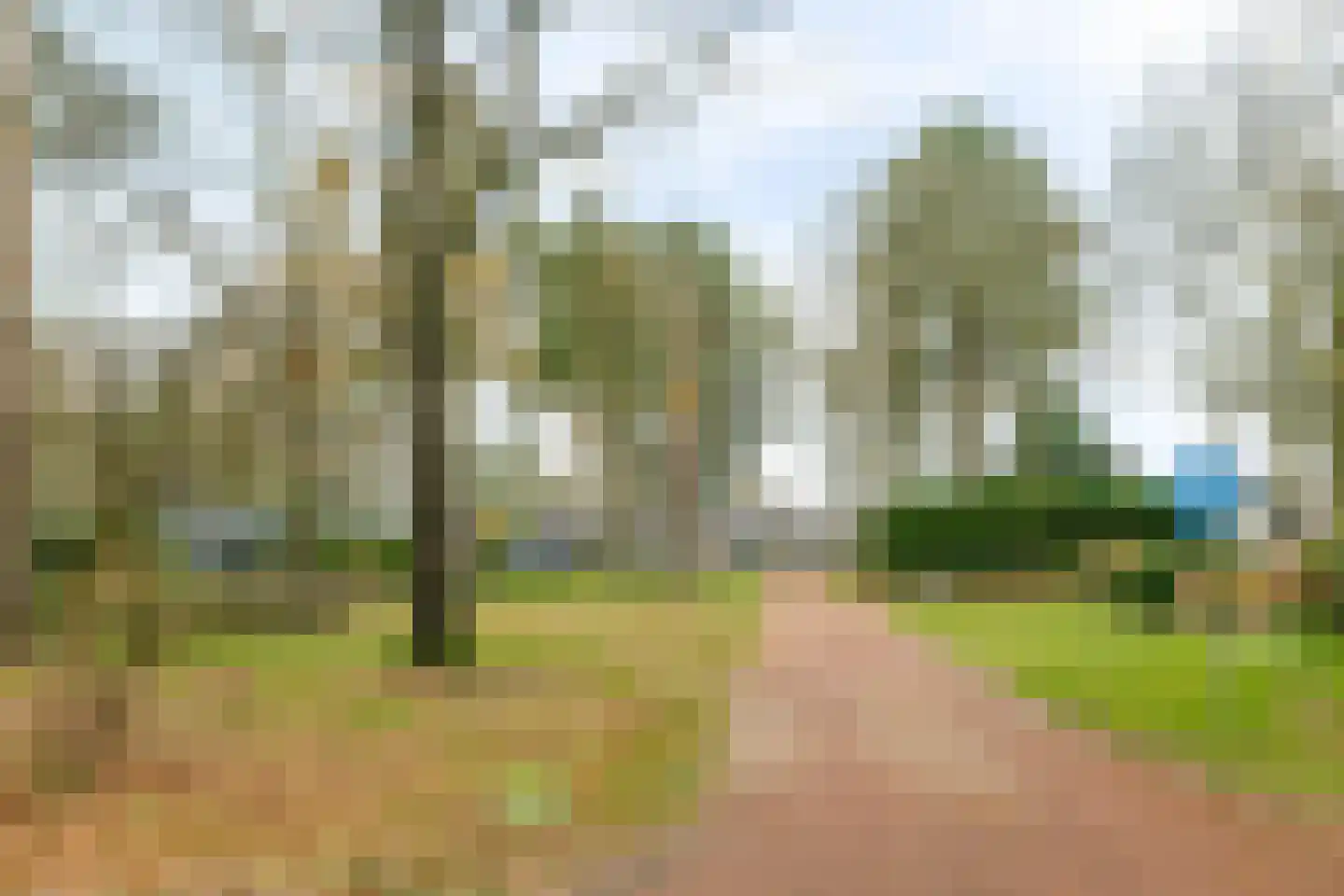 Ermerzand 170 Erm thumbnail 52