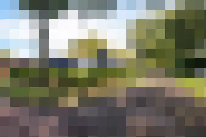 Ermerzand 87 Erm thumbnail 22