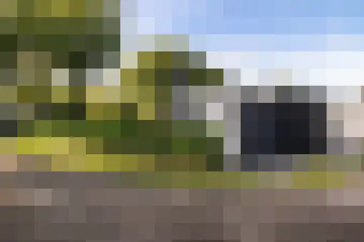 Ermerzand 87 Erm thumbnail 5