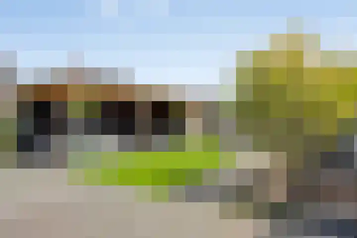 Ernst en Luim 1 Haarsteeg thumbnail 10