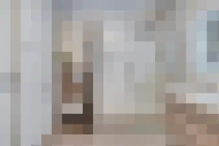Ernst en Luim 1 Haarsteeg thumbnail 23