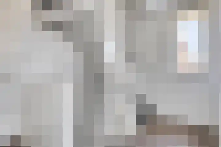Ernst en Luim 1 Haarsteeg thumbnail 24