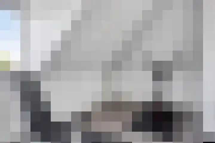Ernst en Luim 1 Haarsteeg thumbnail 27