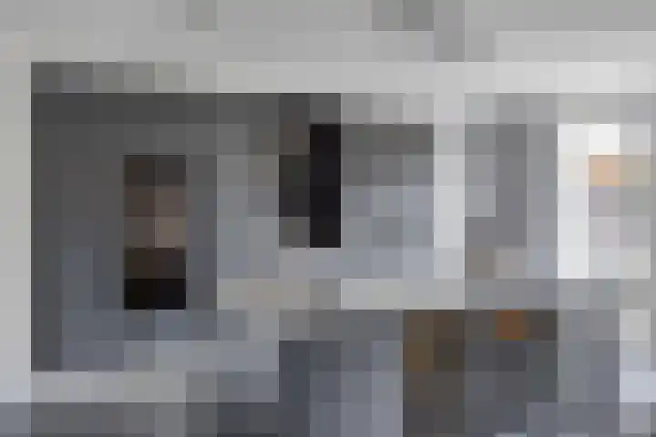 Ernst en Luim 1 Haarsteeg thumbnail 6