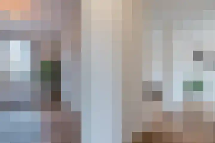 Erroll Garnerstraat 9 Utrecht thumbnail 33