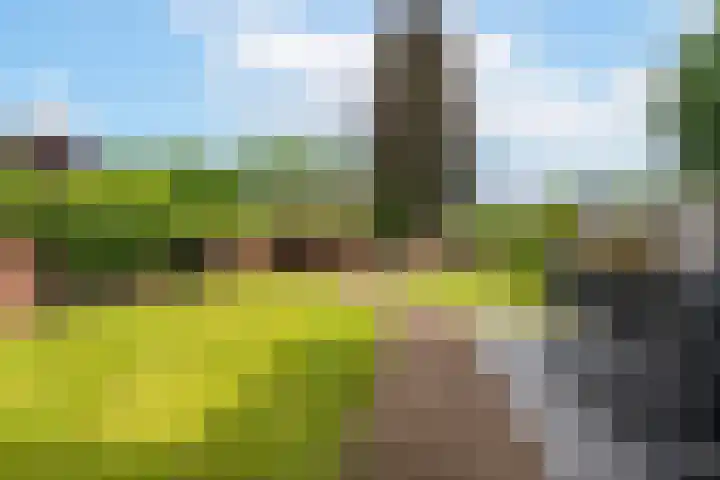 Erve Borgerinck 9 Enter thumbnail 18