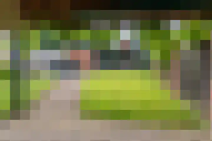 Erve Borgerinck 9 Enter thumbnail 20