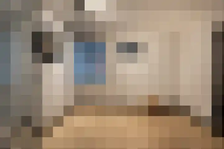 Erve Borgerinck 9 Enter thumbnail 6