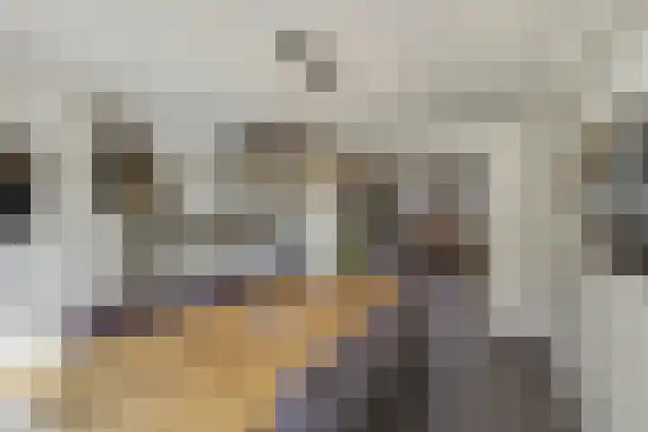 Erve De Plecht 10 Enter thumbnail 10