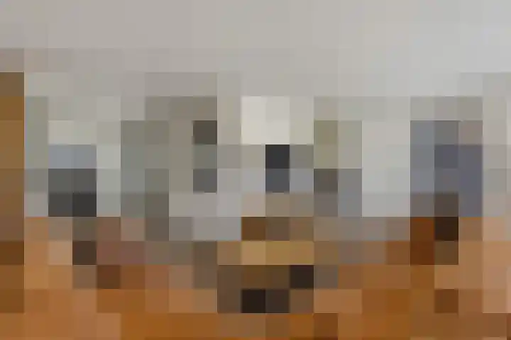 Erve De Plecht 10 Enter thumbnail 11