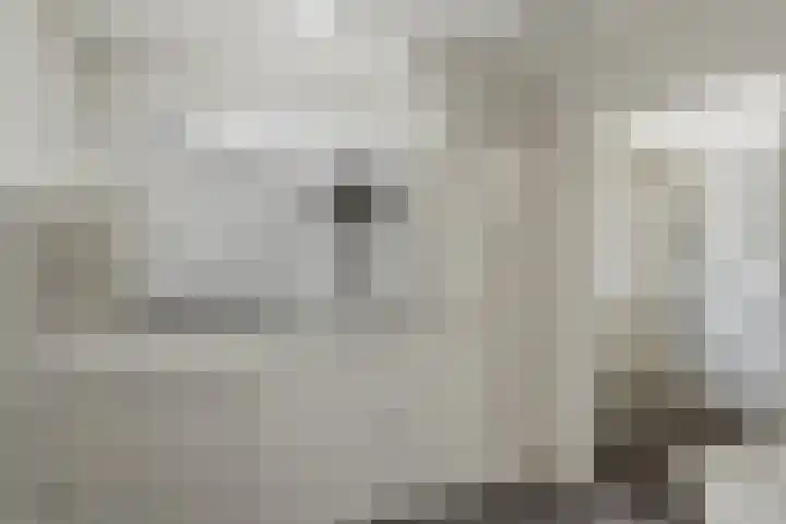 Erve De Plecht 10 Enter thumbnail 15
