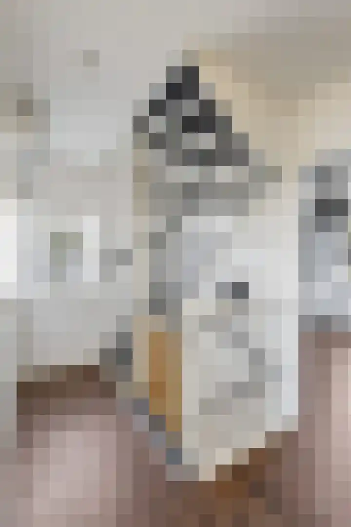 Erve De Plecht 10 Enter thumbnail 21