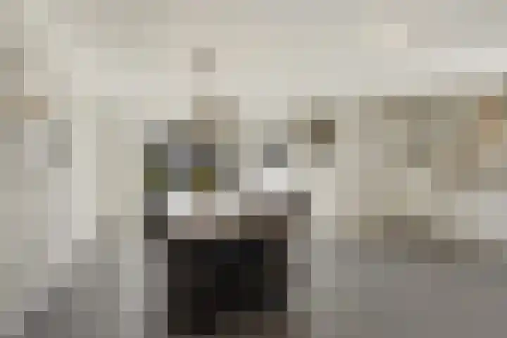Erve De Plecht 10 Enter thumbnail 9