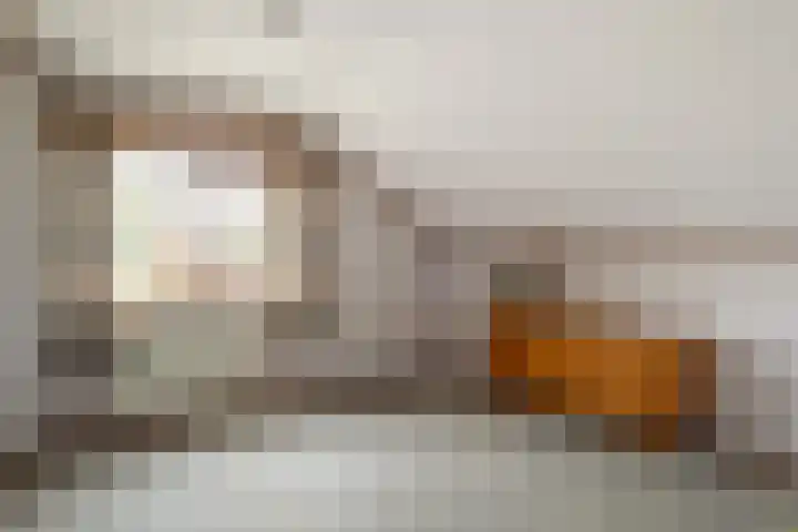 Erve Effinck 17 Enter thumbnail 24